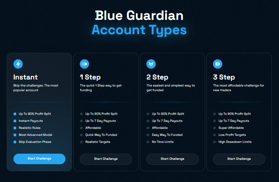 Blue Guardian Review: Funding Programs & Scaling Plans